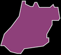 goias